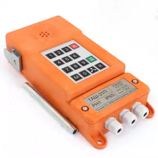 Переговорное устройство ТАШ-31П фото 1