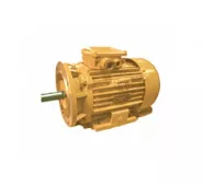 Двигатель асинхронный 3 ДМГ100L2-ОМ5 фото